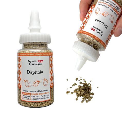 Buy Freeze Dried Daphnia: High Protein Fish Food - 0.5oz Online in ...