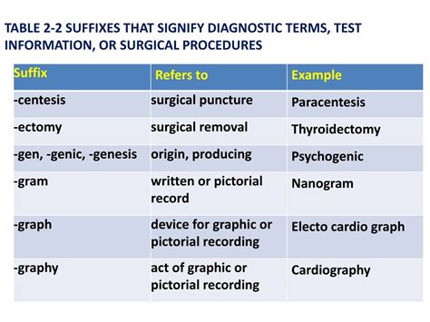 PPT - Analyzing Medical Terminology: Roots, Prefixes, and Suffixes ...