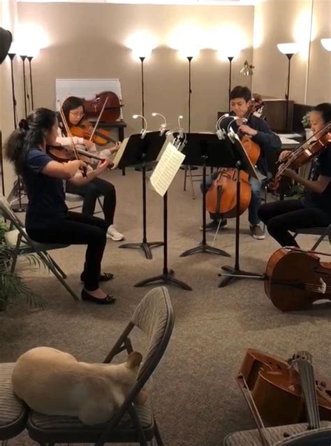 Jun Hou Classical Music