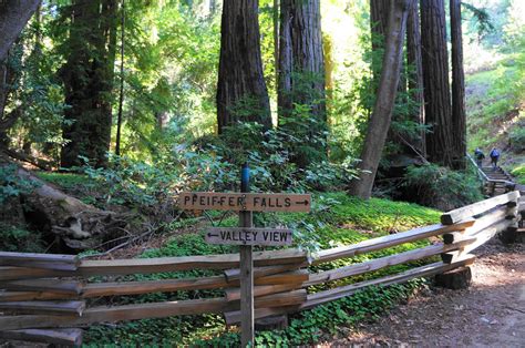 Pfeiffer Falls Trail (Pfeiffer Big Sur State Park, CA) – Live and Let Hike