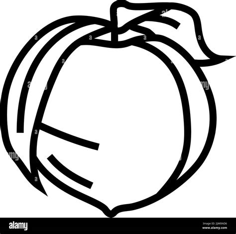 ripe peach leaf line icon vector illustration Stock Vector Image & Art ...