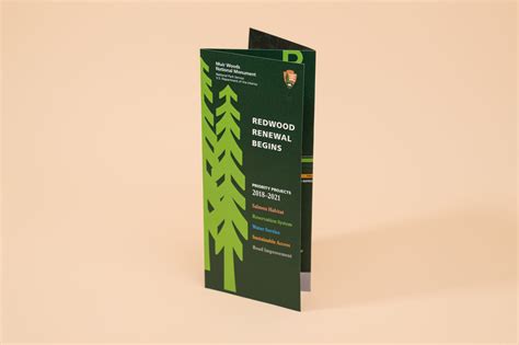 Pamphlet vs Brochure: Are They Different?