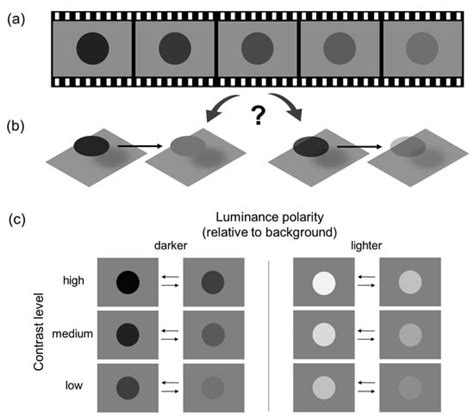 Perceived Transparency from Dynamic Luminance Modulation in Uniform ...