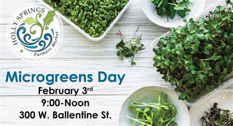 Microgreens Day at Holly Springs Farmers Market (FREE), Holly Springs ...