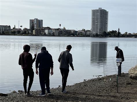 After fish die-off, life returns to Lake Merritt