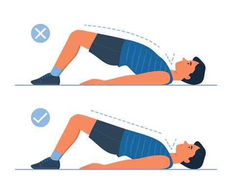 Bridge Exercise 的图像结果