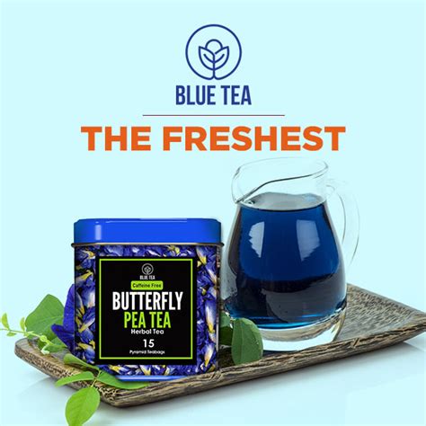 Blue Tea – Open Secret