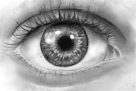 Eye Pencil Drawing: A Step-by-Step Guide for Beginners