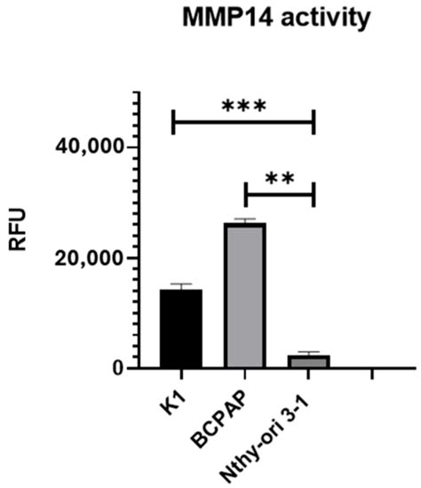 Inhibition of Metalloproteinases-2, -9, and -14 Suppresses Papillary ...