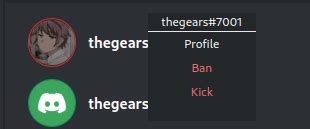 Image result for Discord Bot Client