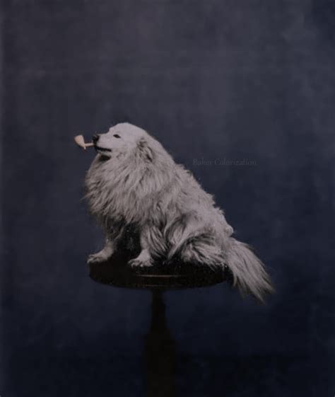 Josephine Sarah Marcus, Wyatt Earp's wife. : r/Colorization