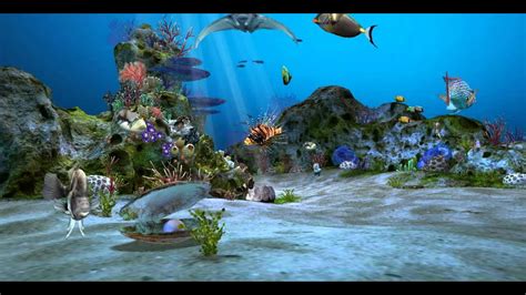 Bildergebnis für youtube screen savers background aquarium