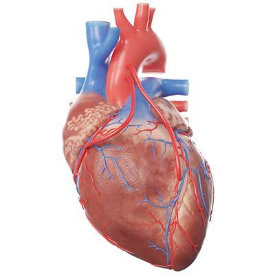 Image result for Heart Beat RPG Tutorial