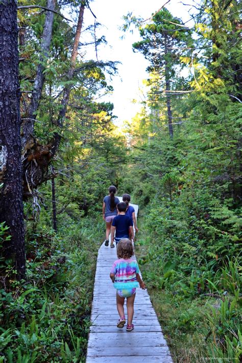 south-beach-trail-tofino-1 - World Adventurists