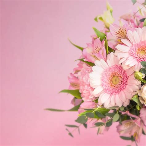 関連する画像の詳細をご覧ください。Blumen bestellen & verschicken | Euroflorist Österreich