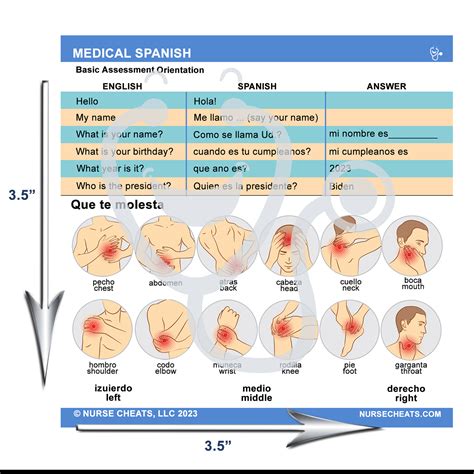 Medical Spanish - Basic Assessment Badge Buddy