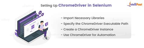 How to Use Selenium to Do Test Automation with Chrome Driver 的图像结果