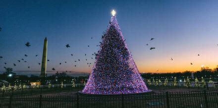 12 Things to Do in Washington DC in December - Hellotickets
