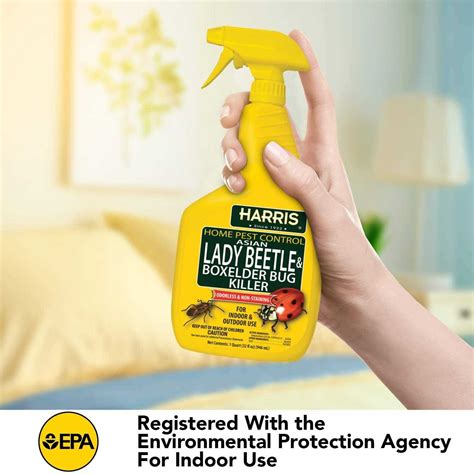 Harris Asian Lady Beetle & Box Elder Bug Killer - Home & Office ...
