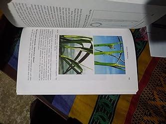 Textbook of Introductory Plant Nematology 2nd Revised edn (PB) : Raman ...