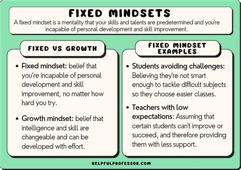 Fixed Mindset Examples 的图像结果