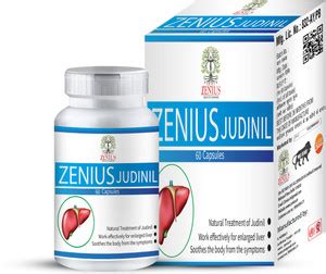 Zenius Capsules Ayurvedic Jaundice Care Capsule for Liver Health and ...