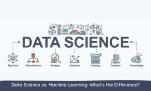 Difference Between Data Science and Machine Learning 的图像结果