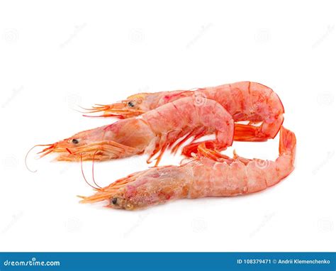 Argentine red shrimp stock image. Image of appetizer - 108379471
