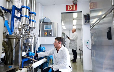 Extraction Lab 的图像结果