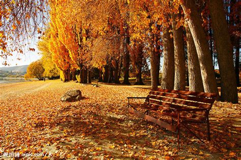 秋天地上的落叶唯美壁纸-壁纸图片大全