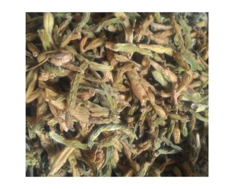 Dried Beans (Razma Hamb)