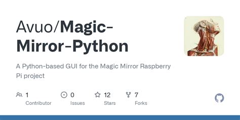 Image result for Magic Mirror Python