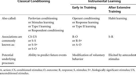 Image result for Associative Learning Examples