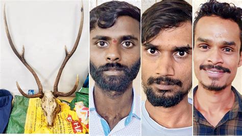 Mumbai: Trio held by D N Nagar police for attempting to sell sambar’s skull