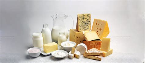 Nakoda Dairy | Reliable Ingredient Partner