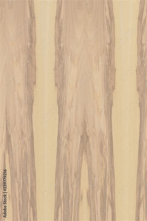 Image result for Ash Tree Wood Color