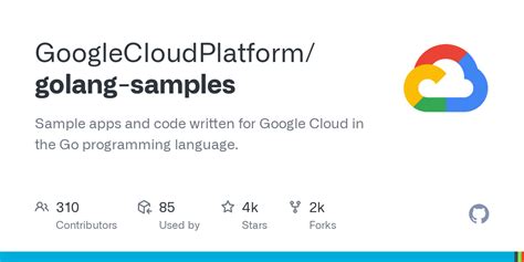 Go Programming Language Code Samples 的图像结果