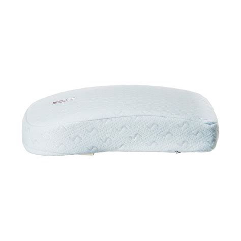 Buy Flamingo Memory Foam Back Rest - Cureka
