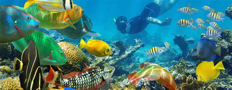 APES Unit 2 Review Flashcard