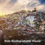 Image result for Non-Biodegradable Examples Pictures