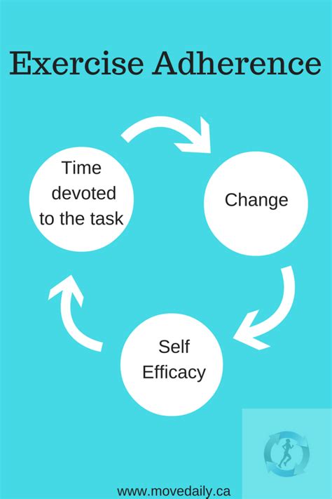 Exercise Adherence 的图像结果