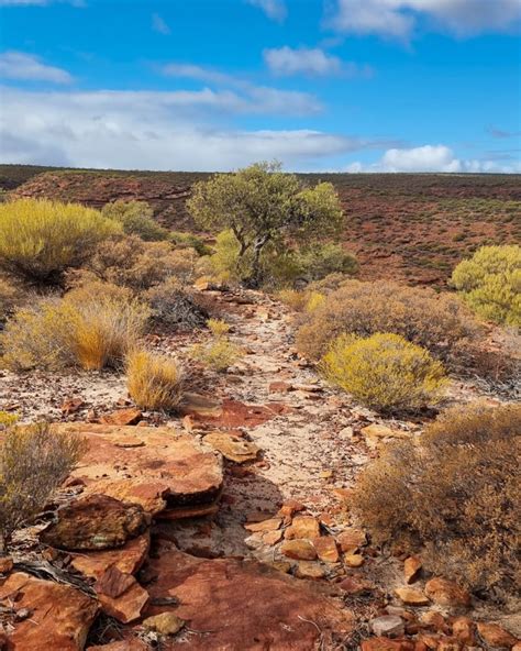 Loop Trail 的图像结果