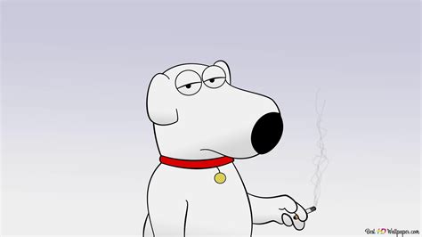 Family Guy cartoon smoking white dog 2K wallpaper download