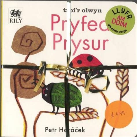Buy Pecyn Nos Da a Pryfed Prysur Book Online at Low Prices in India ...