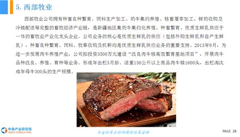 牛肉市场分析报告_2017-2023年中国牛肉行业市场监测与投资前景分析报告_中国产业研究报告网