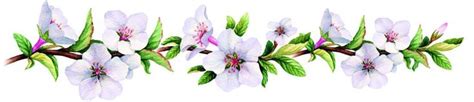 OIP.FfoWMEYco_aoNavkEjUXYAHaBm?r=0&rs=1&pid=ImgDetMain&o=7&rm=3