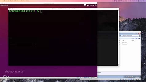 Option Linux 的图像结果
