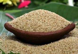SREE VITTALA EXPORTS PRIVATE LTD - Indian Traditional Millets
