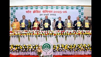 Nabard projects Rs 3.14 lakh crore credit potential for Haryana's ...