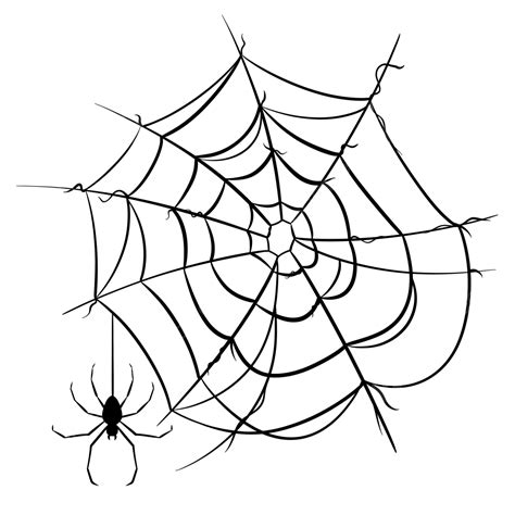 شبكة العنكبوت, العنكبوت, الويب, رسم يدوي PNG وملف PSD للتحميل مجانا